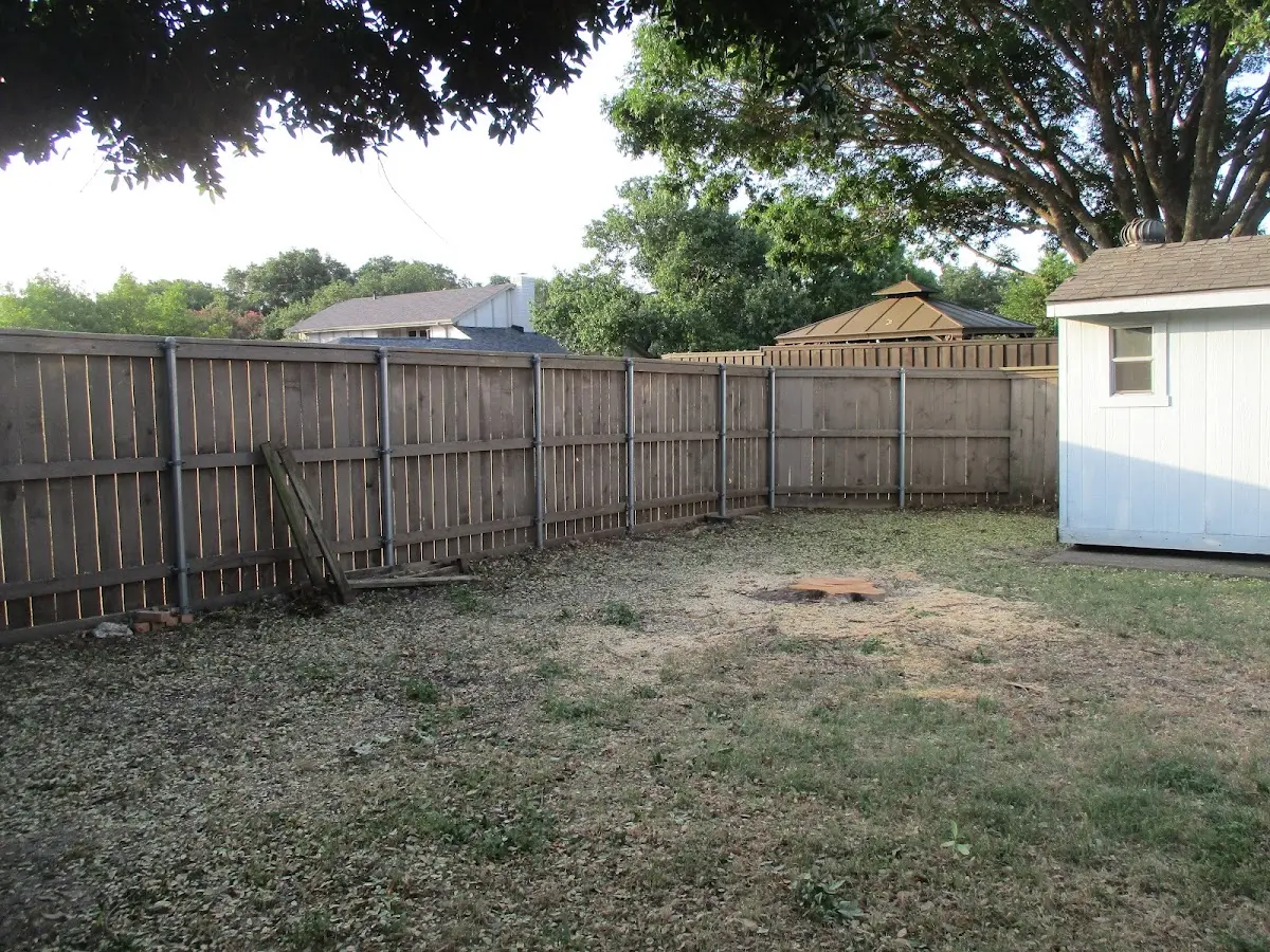 Cleared yard after professional tree removal in Sasabe